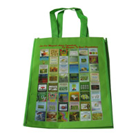 娄底LB11覆膜无纺布广告袋